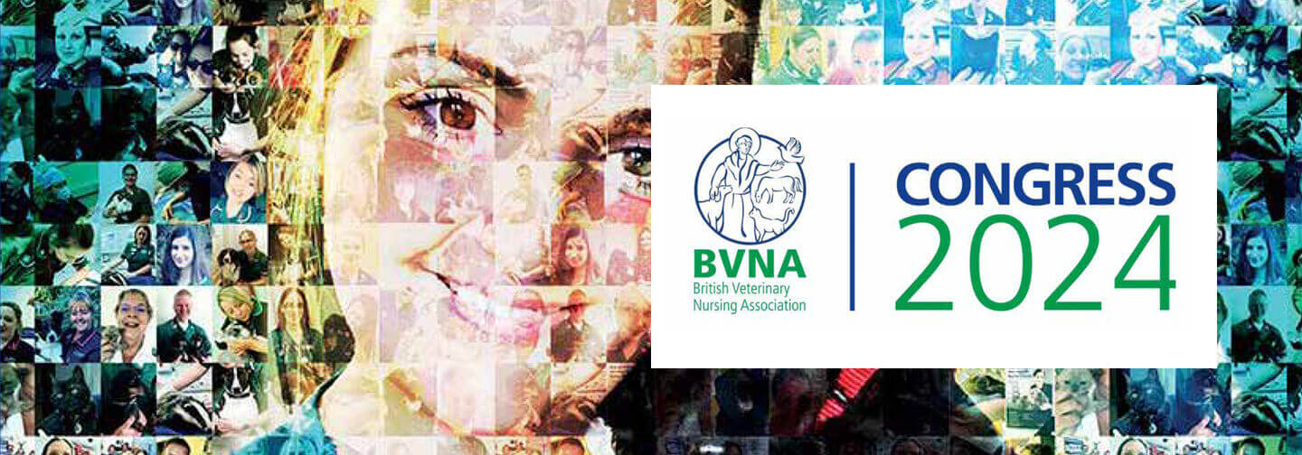 Congresso BVNA 2024