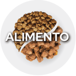 Food icon