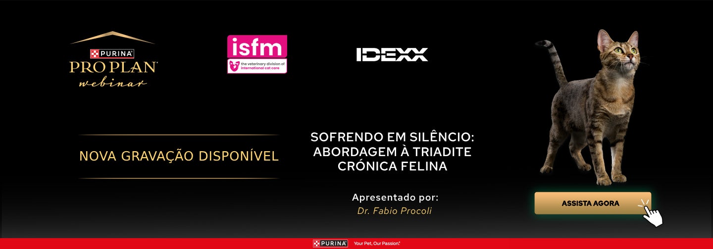 Sofrendo em Silêncio: Abordagem à Triadite Crónica Felina