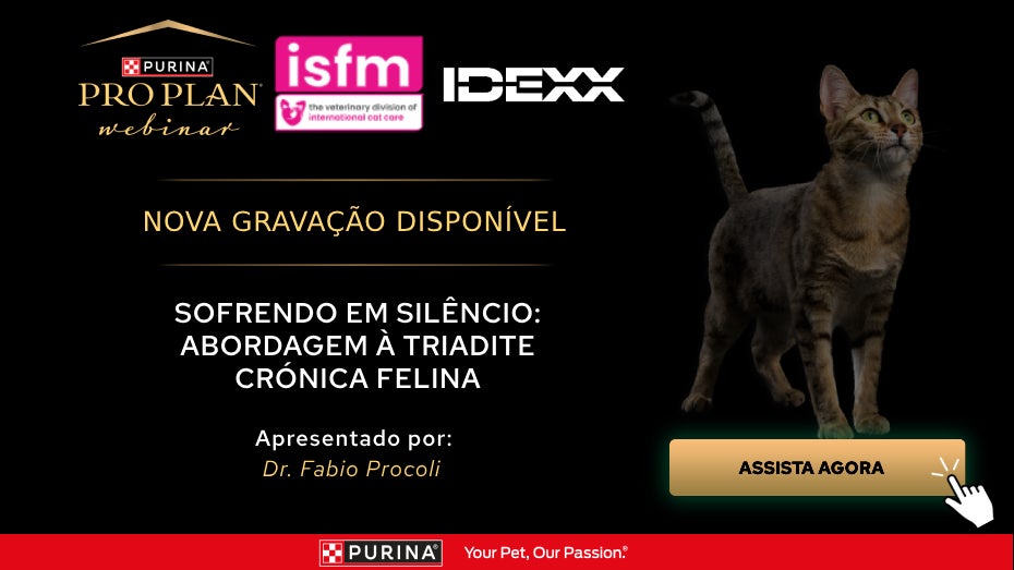 Sofrendo em Silêncio: Abordagem à Triadite Crónica Felina