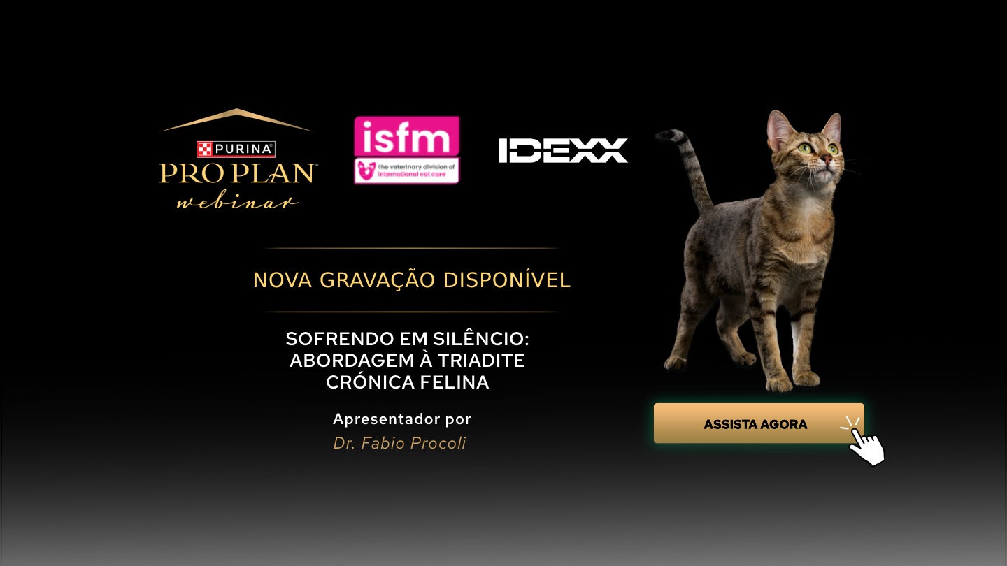 Nova gravação disponível - Sofrendo em Silêncio: Abordagem à Triadite Crónica Felina