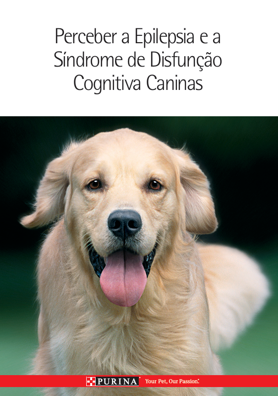 Folheto enfermagem_Perceber a epilepsia e a disfunção cognitiva