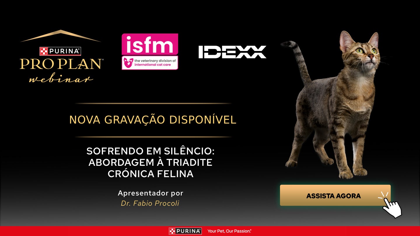 Sofrendo em Silêncio: Abordagem à Triadite Crónica Felina