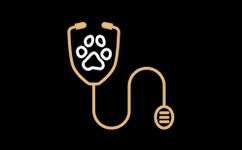 Médico Veterinário