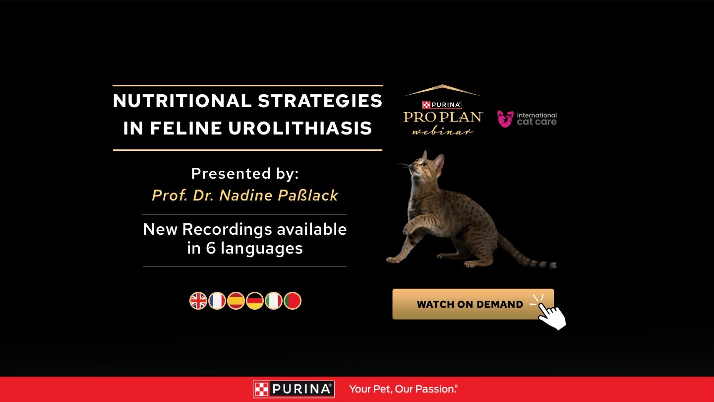 Estratégias Nutricionais na Urolitíase Felina