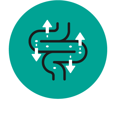 Fácil de Digerir