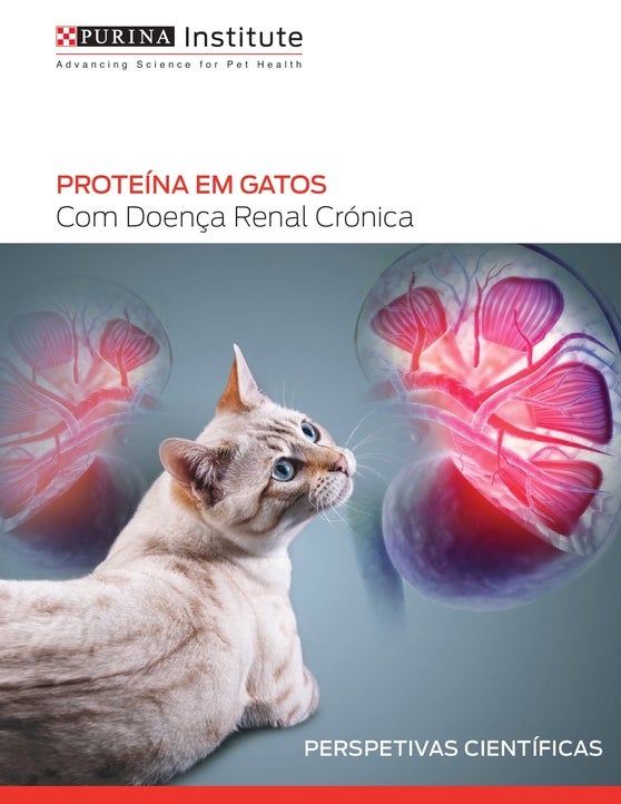 PROTEÍNA EM GATOS Com Doença Renal Crónica