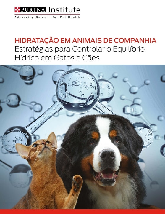 PI Monografia sobre hidratação