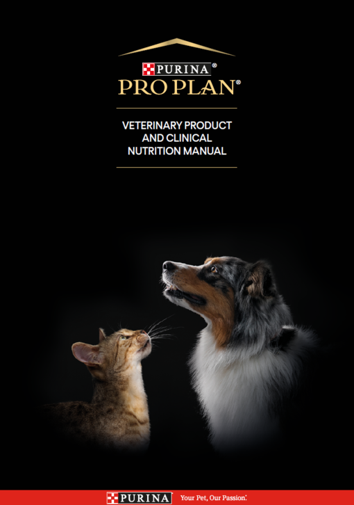 Guia Pro Plan ECN & PPVD 2023