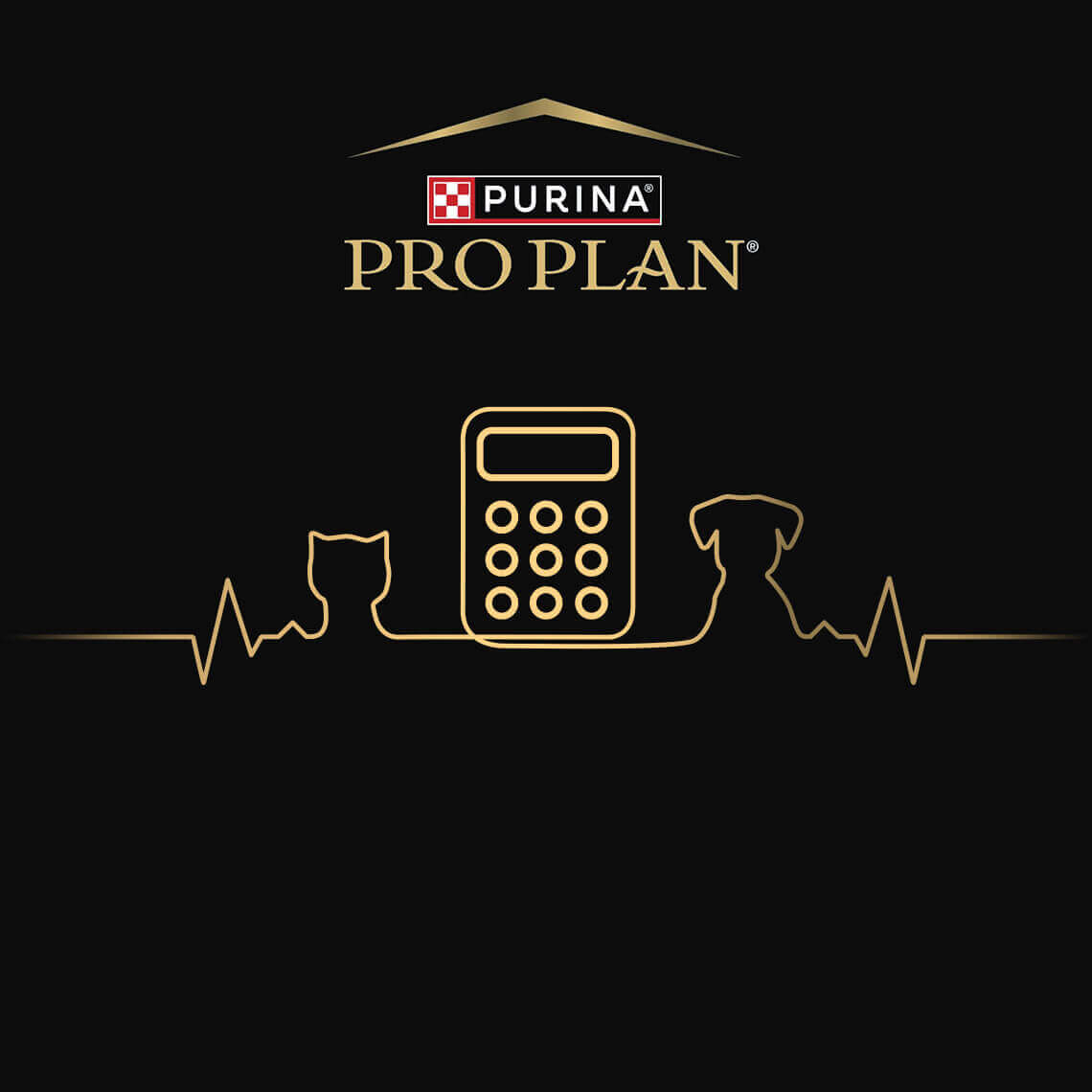 Calculadora de Nutrição Personalizada