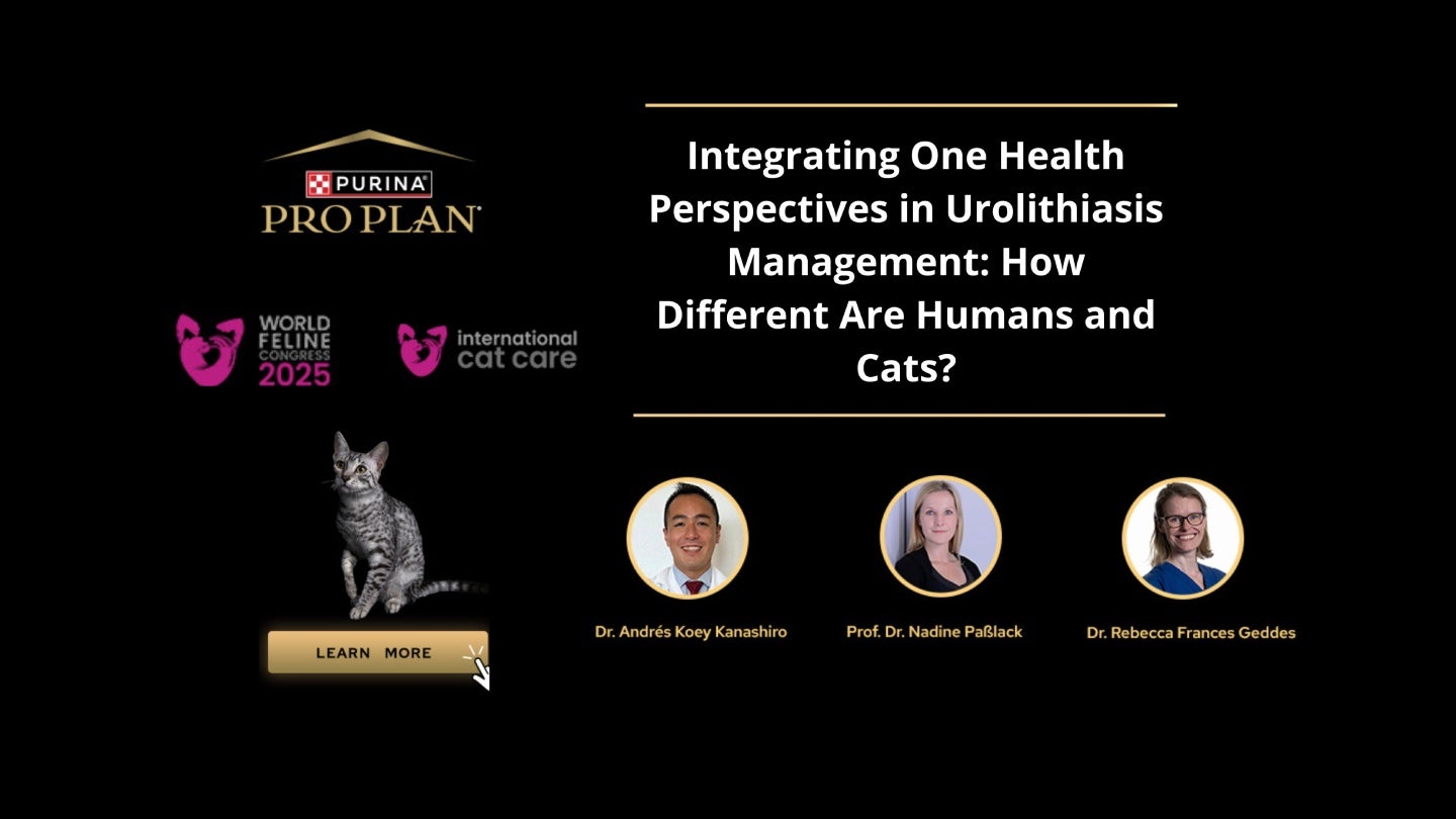 Discussão Inovadora sobre 'Uma Só Saúde' no Congresso Mundial de Felinos 2025 Ilumina Desafios Compartilhados na Saúde Urinár