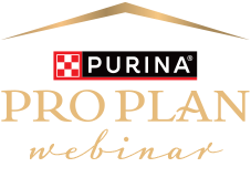 Pro Plan webinar