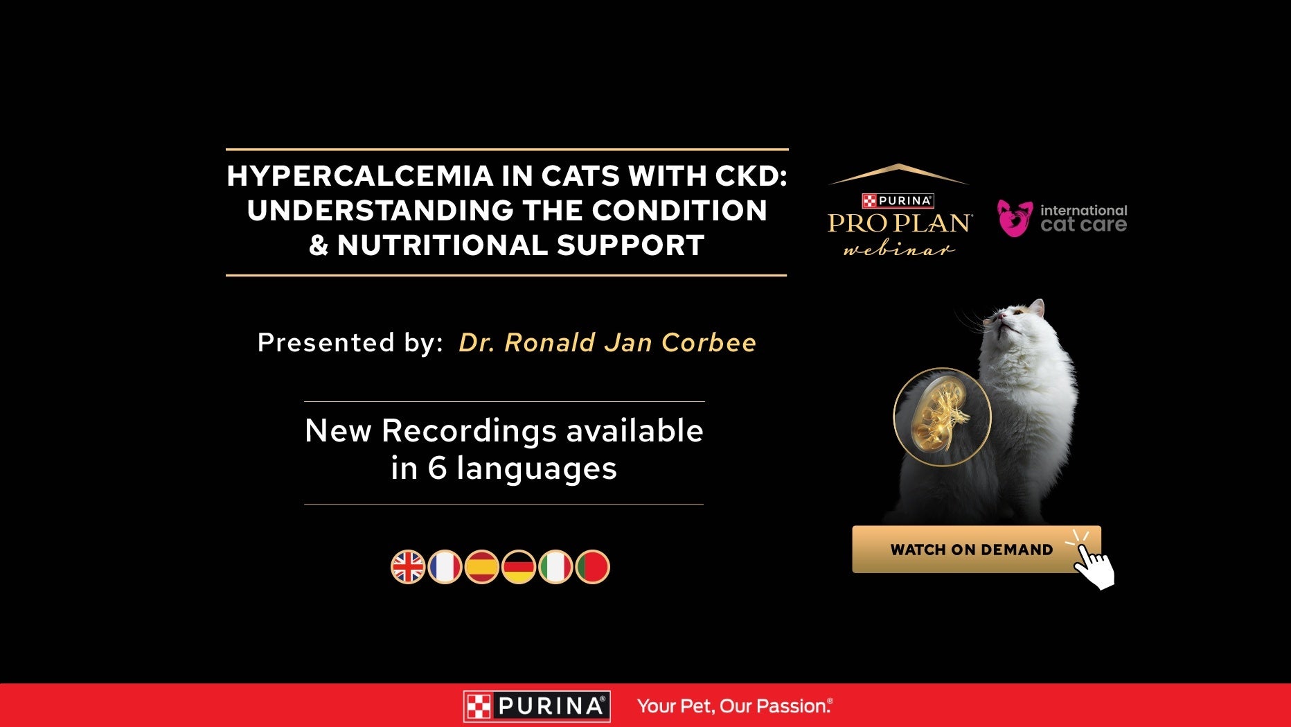 Gravação disponível - HIPERCALCEMIA EM GATOS COM DRC: COMPREENDENDO A CONDIÇÃO E SUPORTE NUTRICIONAL.