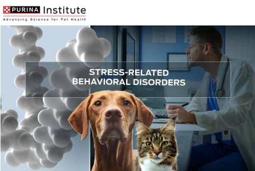 Comportamentos relacionados com o stress