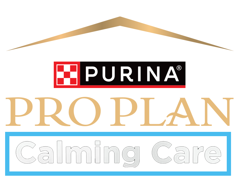 PP Calming Care logo