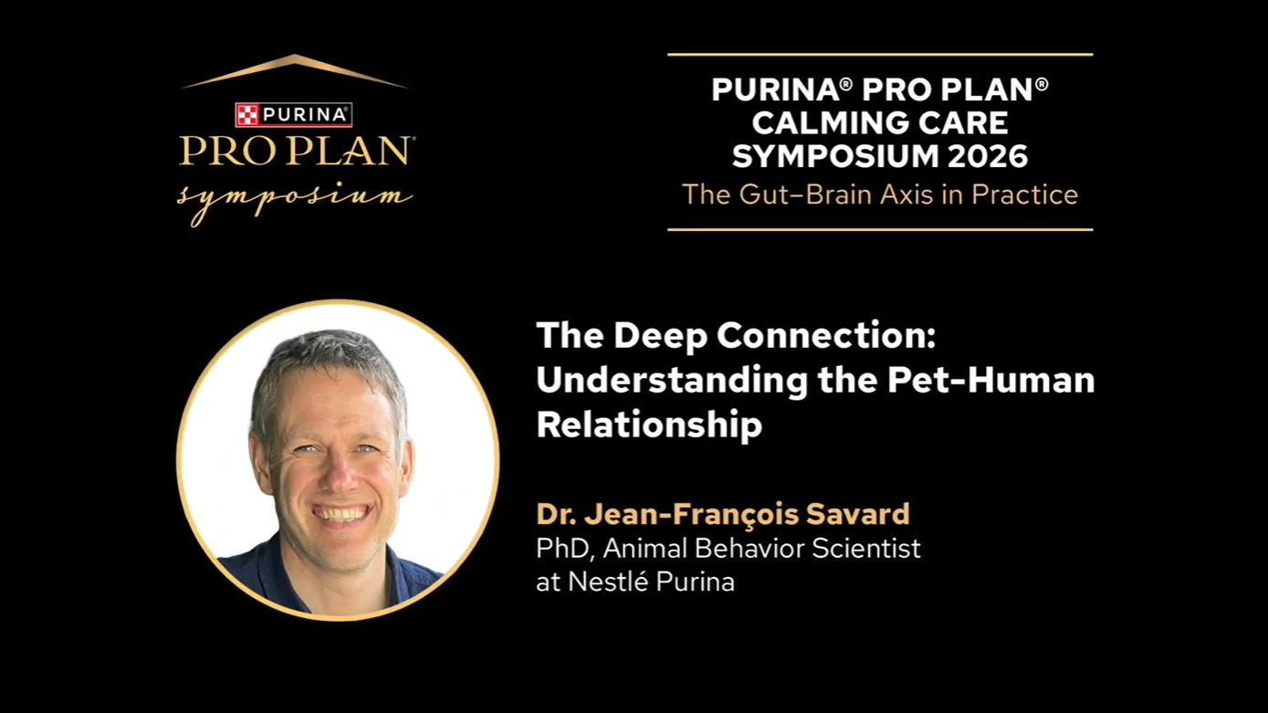 The Deep Connection: Understanding the Pet-Human Relationship