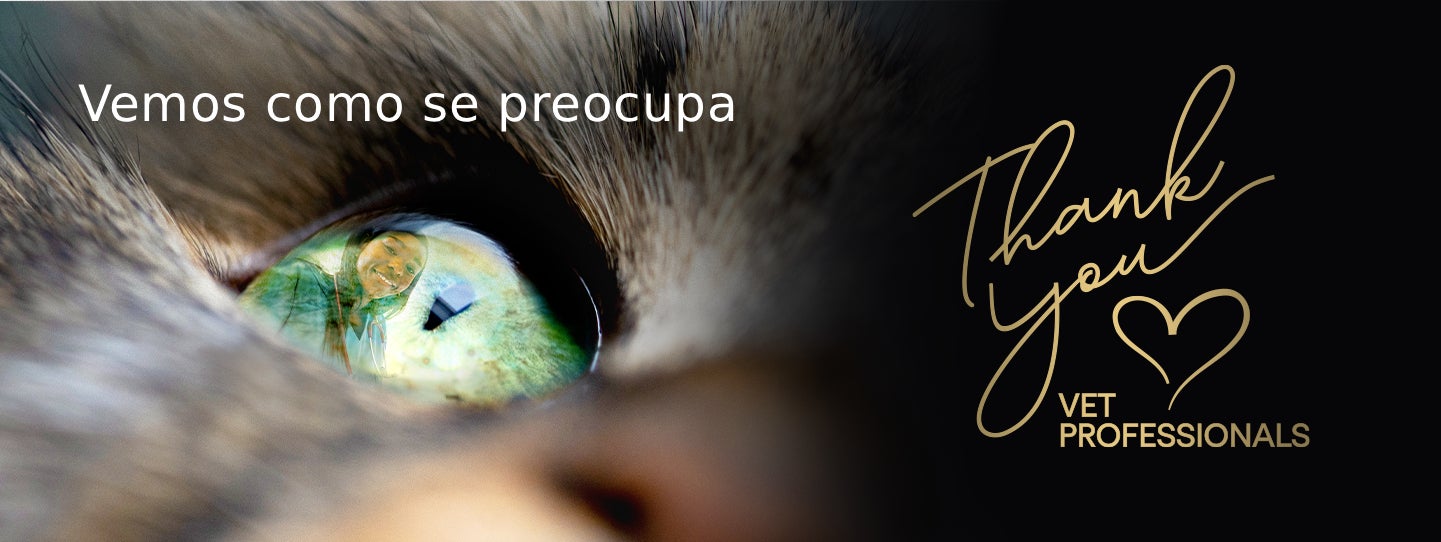Vemos como se preocupa