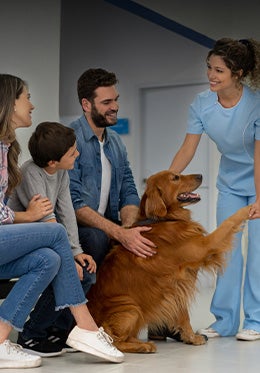 Família com cachorro durante consulta veterinária