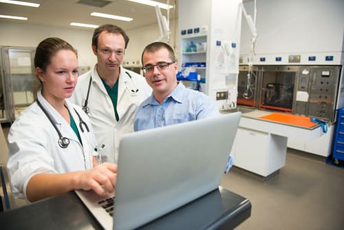 Veterinários analisando informações em um laptop em um laboratório clínico