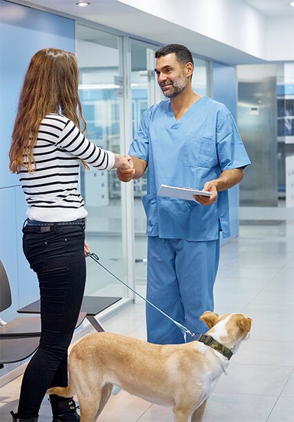 Veterinário cumprimentando cliente com cachorro em uma clínica