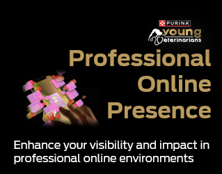 Presença Profissional Online