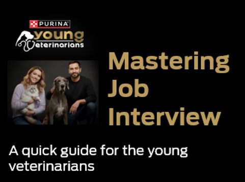 Dominar a Entrevista de Emprego