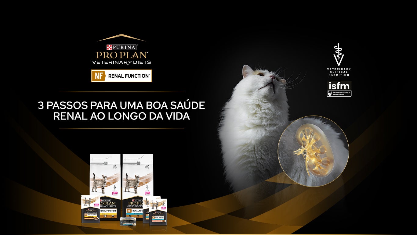 Banner promocional com um gato branco, apresentando as opções disponíveis de Purina® Pro Plan® Veterinary Diets NF Renal Function.