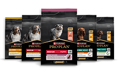 Canine PRO PLAN® para cães