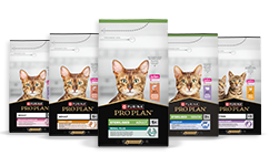 Feline PRO PLAN® para gatos