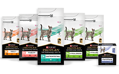Feline Pro Plan® VETERINARY DIETS para gatos
