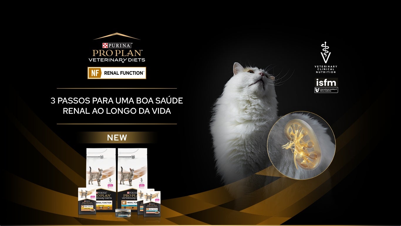 Banner promocional com um gato branco, apresentando as opções disponíveis de Purina® Pro Plan® Veterinary Diets NF Renal Function.