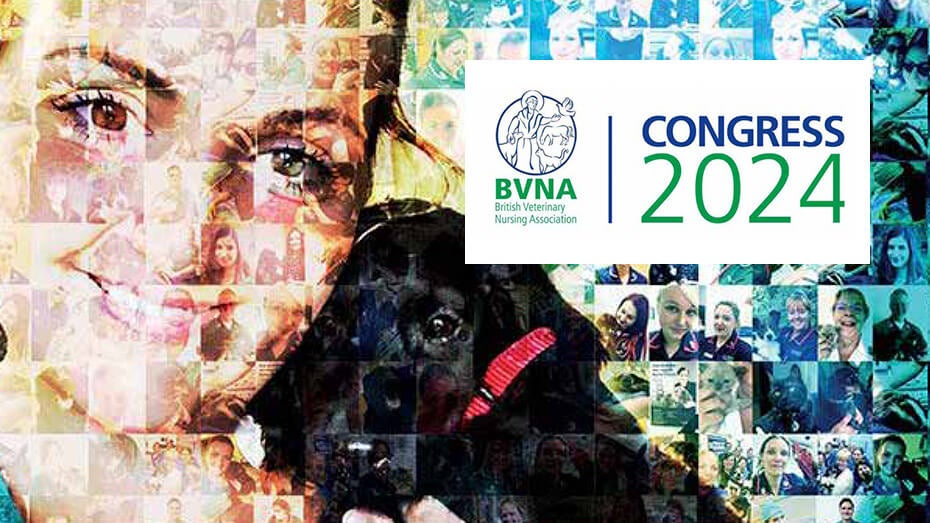 Congresso BVNA 2024