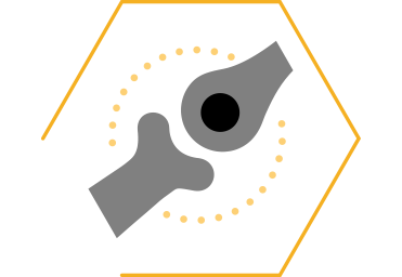 Suporta o movimento e flexibilidade das articulações