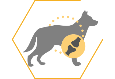 Melhora a mobilidade