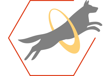 Ajuda a sustentar a libertação de energia para a vitalidade e saúde geral