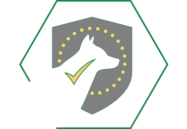 Ajuda a suportar a saúde imunitária