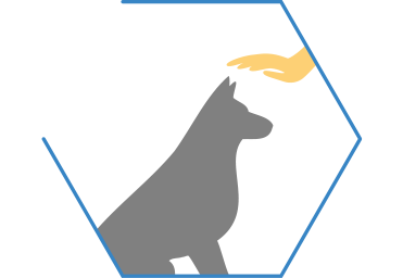 Ajuda a acalmar comportamentos ansiosos, tais como ladrar excessivo, saltar demasiado, andar de um lado para o outro e rodar