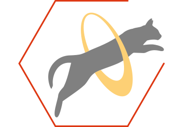 Vitaminas do complexo B essenciais para ajudar a sustentar a libertação de energia para a vitalidade e saúde geral