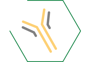 Pós-bióticos para ajudar a produção natural de produção de anticorpos