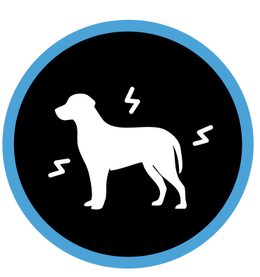 Provado como ajuda os cães a lidarem com causas de stress externas