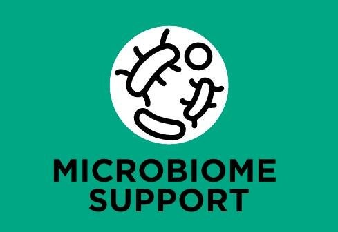 Com prebiótico (inulina) adicionado para melhorar o equilíbrio do microbioma e saúde digestiva