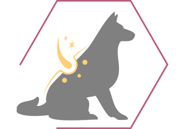 Acidos gordos Omega 3 & 6 e Vitamina E para suportar uma pele saudável e um pelo brilhante