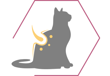 Acidos gordos Omega 3 & 6 e Vitamina E para suportar uma pele saudável e um pelo brilhante