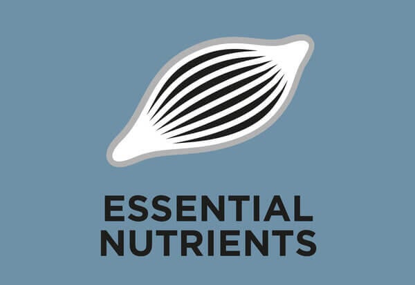 Elevada concentração de nutrientes essenciais