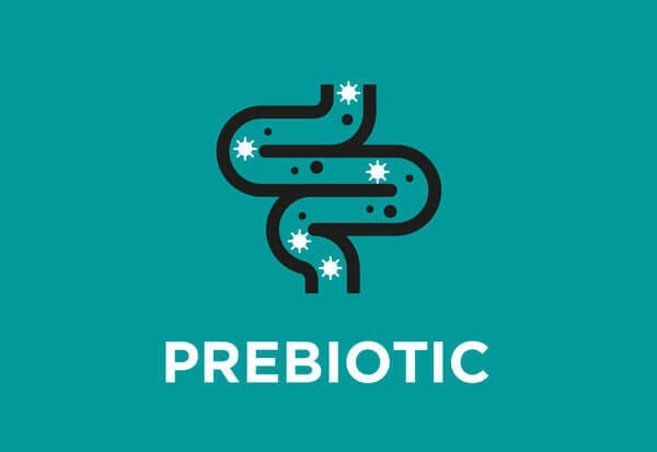 Prebiótico adicionado (inulina de chicória)