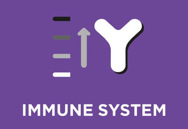 Ajuda, comprovadamente, a promover um sistema imunitário forte, bem como a saúde e o equilíbrio intestinais