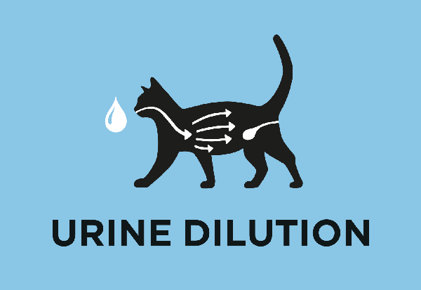 Ajuda a aumentar a diluição da urina e apoiar a saúde urinária