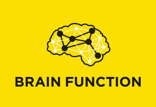Função cerebral