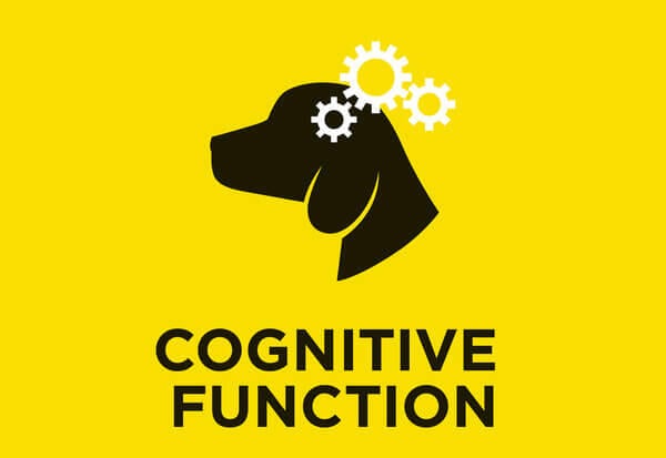 Função cognitiva