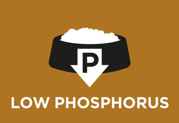 Baixo nível de fósforo